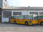 (198'026) - Schmid, Thrishaus - BE 26'206 - Saurer/Tscher (ex P 24'244) am 30.