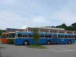 (206'613) - VBZ Zrich (TMZ) - Nr.