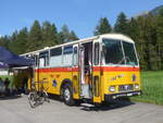 (227'487) - Ghwiler, Birmensdorf - ZH 311'480 - Saurer/Tscher (ex AVG Grindelwald Nr.