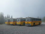 (239'777) - Roth, Zrich - SH 36'376 - Saurer/Tscher (ex Looser, Elm; ex Mattli, Wassen) am 28.