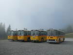 (239'779) - Roth, Zrich - SH 36'376 - Saurer/Tscher (ex Looser, Elm; ex Mattli, Wassen) am 28.