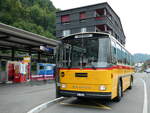 (239'808) - Schmid, Thrishaus - BE 26'206 - Saurer/Tscher (ex P 24'244) am 28.