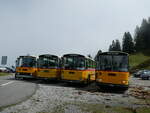 (239'827) - Schmid, Thrishaus - BE 26'206 - Saurer/Tscher (ex P 24'244) am 28.