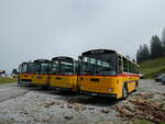 (239'832) - Schmid, Thrishaus - BE 26'206 - Saurer/Tscher (ex P 24'244) am 28.