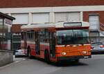(263'567) - Sgura-Bus, Balerna - TI 257'950 - Saurer/Hess (ex AMSA Chiasso Nr.