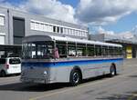 (275'634) - Borer, Neuhausen - SH 19'684 - Saurer/Tscher (ex Schttler, D-Kln; ex Braun, D-Mnster; ex Schmid, Hemishofen; ex Brtsch, Bttenhard; ex ASS Schleitheim Nr.