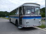 (275'679) - Borer, Neuhausen - SH 19'684 - Saurer/Tscher (ex Schttler, D-Kln; ex Braun, D-Mnster; ex Schmid, Hemishofen; ex Brtsch, Bttenhard; ex ASS Schleitheim Nr.