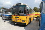 (279'019) - Toldo, Zrich - ZH 124'701 - Saurer/R&J (ex Peter, Pfaffnau) am 16.