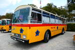 (279'085) - Ghwiler, Birmensdorf - ZH 311'480 - Saurer/Tscher (ex AVG Grindelwald Nr.