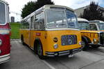 (279'659) - Streiff, Gelterkinden - AG 306'557 - Saurer/Gangloff (ex Oldie-Tours Zrisee, Wollerau; ex OTAG, Wald; ex Leibundgut, Obergoldbach; ex Krebs, Belpberg) am 30. August 2025 in Oberkirch, CAMPUS Sursee