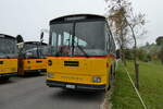 (281'380) - Huber, Oberkirch - LU 49'699 - Saurer/R&J (ex Frigg, Zernez; ex P 24'283) am 12.