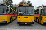 (281'435) - Gaudenz, Andeer - GR 1866 - Saurer/R&J (ex Mark, Andeer PID 2824; ex PostAuto Graubnden; ex P 24'350) am 12. Oktober 2025 in Hitzkirch, Interkantonale Polizeischule