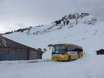 (213'169) - Grindelwaldbus, Grindelwald - Nr.