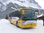 (223'151) - Grindelwaldbus, Grindelwald - Nr.