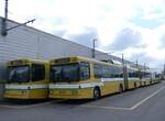 (261'663) - transN, La Chaux-de-Fonds - Nr. 119 - NAW/Hess Gelenktrolleybus (ex TN Neuchtel Nr. 119) am 23. April 2024 in Marin, Dpt