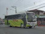 (212'439) - Transpisa, Quesada - 3531 - Daewoo am 25.