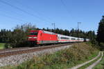 101 030 mit dem  IC Knigssee  aus Freilassing kommend am 20. September 2025 bei Ufering.
