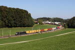 193 872 mit einem Containerzug aus Freilassing kommend am 3. Oktober 2023 bei Axdorf.