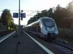 9442 108 der Abellio Rail Mitteldeutschland als RB 57 aus Nordhausen in Heilbad Heiligenstadt. 10.08.2024