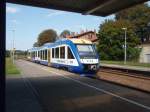 VT 803 der Veolia Verkehr Sachsen-Anhalt als HEX Halle (Saale) Hbf - Halberstadt in Sandersleben. 03.09.2014