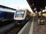 648 496 des Erixx als RB 37 nach Bremen Hbf in Uelzen.