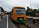 VT 41 der Regentalbahn als RB aus Lam in Cham (Oberpf.).