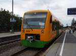 VT 41 der Regentalbahn als RB aus Lam in Cham (Oberpf.).