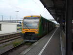 650 650 der Länderbahn als RB 35 nach Bayerisch Eisenstein in Plattling.