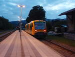 650 077 der Länderbahn als RB 38 aus Viechtach in Gotteszell.