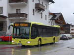 (175'970) - PostBus - BD 14'130 - Mercedes am 19.