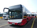 (276'518) - Aus Oesterreich: PostBus - MN 04'591 (BD 15'711) - Solaris am 9.