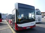 (276'526) - Aus Oesterreich: PostBus - MN 04'588 (BD 15'717) - Solaris am 9. Juni 2025 in Kerzers, Interbus