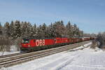 1293 045 und 1016 024 mit einem gemischten Gterzug am 13.