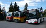 (286'905) - AAGS Schwyz - Nr.