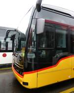 (273'385) - AutoPostale Ticino - (620'650) - eMercedes am 29.