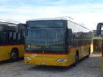 (212'787) - CarPostal Ouest - VD 510'263 - Mercedes am 8.