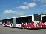 (250'146) - CarPostal Ouest - JU 36'039/PID 11'739 - Mercedes am 18.