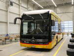 (273'343) - Geissmann, Hgglingen - AG 557'541/PID 12'016 - eMercedes am 29.