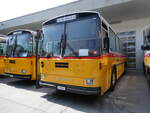 (266'433) - Gloor, Staufen -  P 26'516  - Saurer/Hess (ex ALMAT, Tagelswangen; ex P 26'516) am 31.