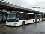 (275'838) - Hfliger, Sursee - Nr.