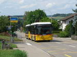 (182'007) - Moser, Flaach - Nr. 289/ZH 480'005 - Gppel am 10. Juli 2017 in Rickenbach Sulz, Sunnezirkel