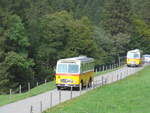 (197'756) - Mller, Ennetmoos - NW 23'167 - FBW/Gangloff (ex Rentsch, Gunten; ex P 23'203; ex P 21'003) + Frutig, Birmensdorf - ZH 560'883 - FBW/FHS (ex P 23'217) am 16.