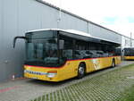 (239'275) - PostAuto Ostschweiz - SG 328'268 - Setra am 20.