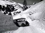 (MD198) - Aus dem Archiv: PTT-Regie - P 2118 - Saurer/R&J im Jahr 1951 am Malojapass