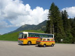 (174'878) - Scheidegger, Schnbhl - BE 471'072 - VW (ex Berwert, Stalden) am 11.