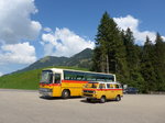 (174'887) - Scheidegger, Schnbhl - BE 471'072 - VW (ex Berwert, Stalden) am 11.