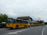 (239'795) - Schmid, Thrishaus - BE 26'206 - Saurer/Tscher (ex P 24'244) am 28.