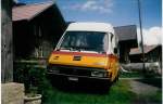 (017'223) - Seematter, Saxeten - BE 449'149 - Renault am 15.