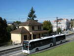 (228'840) - Intertours, Domdidier - Nr.