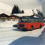 (9-12) - Aus dem Archiv: AFA Adelboden - Nr.